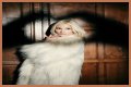 Q&A Session: Pixie Lott - CelebMix